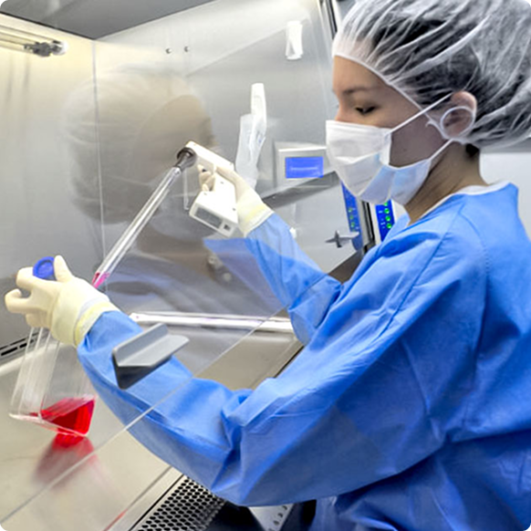 hq-_0004_Umbilical-Cord-Matrix-Mesenchymal-Stem-Cell-Culture 1