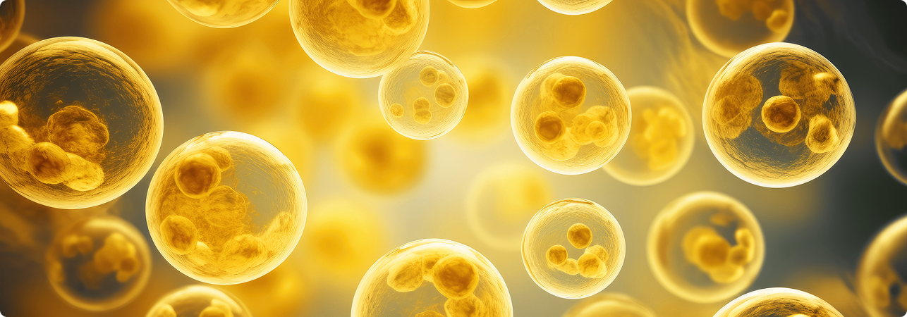 AdobeStock_730297807 1 (1)